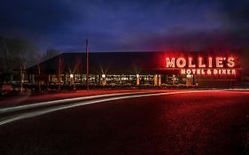 Mollie Hotel